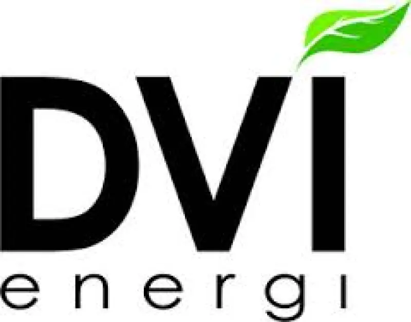 DVI Energi